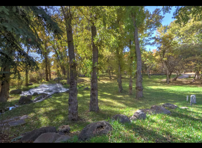 ALL INCLUSIVE - Heart Healing 💚 a Transformational Retreat w/ Miss Dannie Huggs